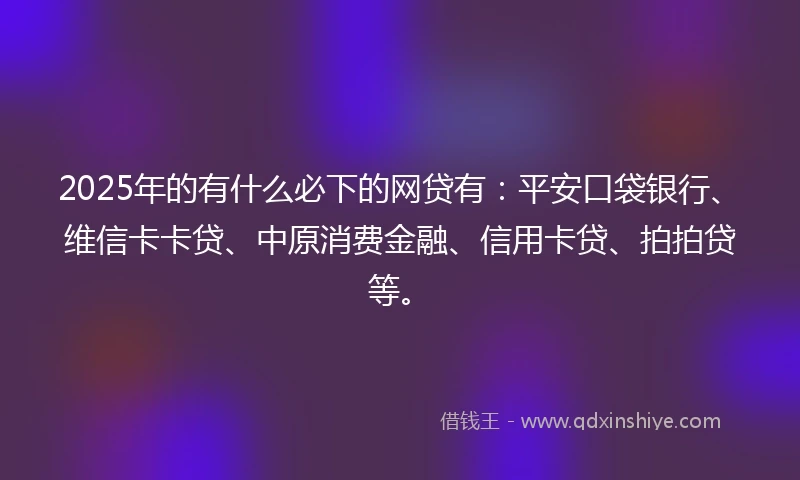 2025年的有什么必下的网贷有：平安口袋银行、维信卡卡贷、中原消费金融、信用卡贷、拍拍贷等。