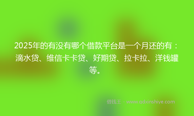 2025年的有没有哪个借款平台是一个月还的有：滴水贷、维信卡卡贷、好期贷、拉卡拉、洋钱罐等。
