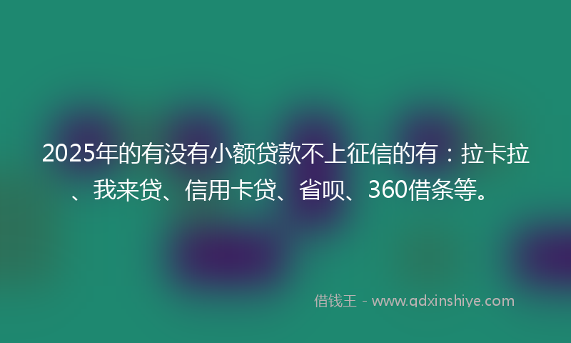 2025年的有没有小额贷款不上征信的有：拉卡拉、我来贷、信用卡贷、省呗、360借条等。