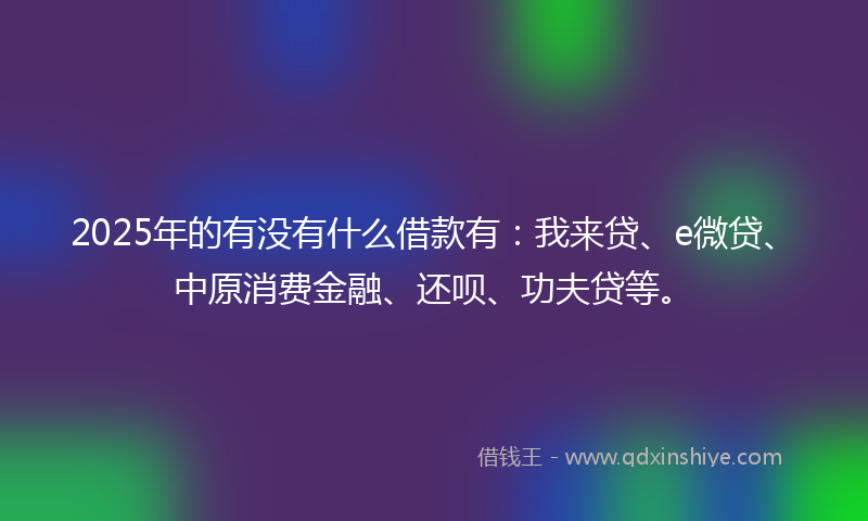 2025年的有没有什么借款有：我来贷、e微贷、中原消费金融、还呗、功夫贷等。