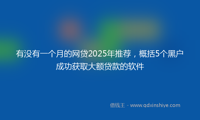 有没有一个月的网贷2025年推荐，概括5个黑户成功获取大额贷款的软件