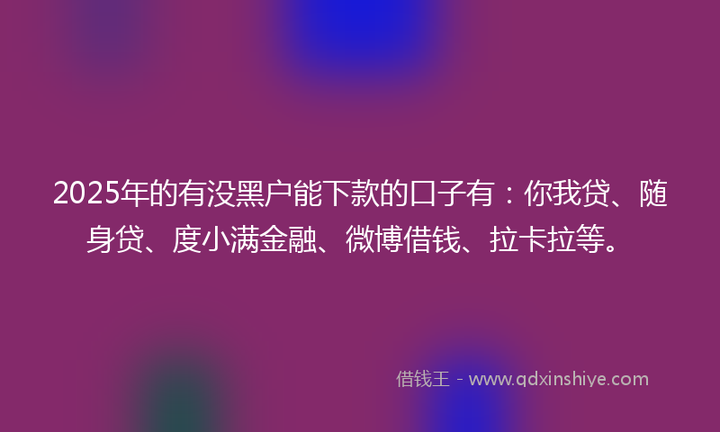 2025年的有没黑户能下款的口子有：你我贷、随身贷、度小满金融、微博借钱、拉卡拉等。