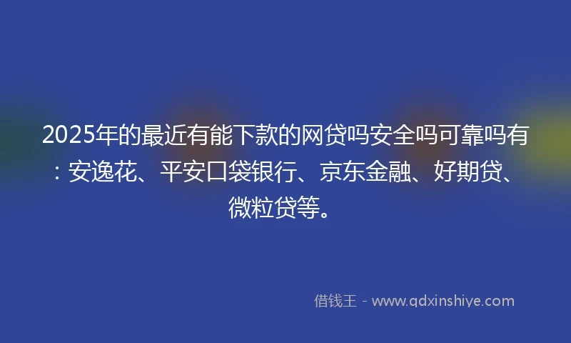 2025年的最近有能下款的网贷吗安全吗可靠吗有：安逸花、平安口袋银行、京东金融、好期贷、微粒贷等。