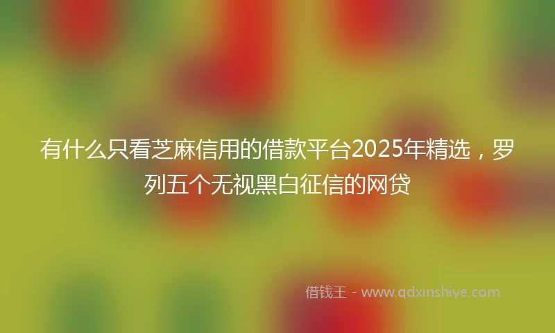 有什么只看芝麻信用的借款平台2025年精选，罗列五个无视黑白征信的网贷
