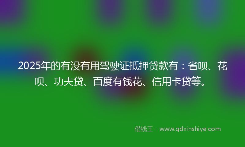2025年的有没有用驾驶证抵押贷款有：省呗、花呗、功夫贷、百度有钱花、信用卡贷等。