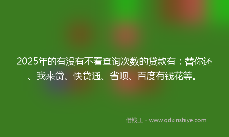 2025年的有没有不看查询次数的贷款有：替你还、我来贷、快贷通、省呗、百度有钱花等。