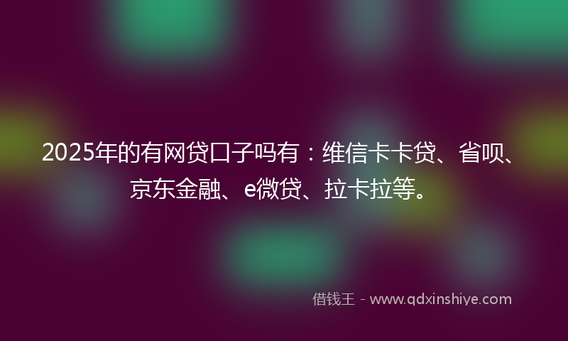 2025年的有网贷口子吗有：维信卡卡贷、省呗、京东金融、e微贷、拉卡拉等。