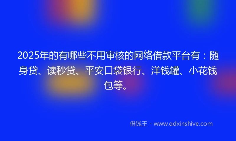 2025年的有哪些不用审核的网络借款平台有：随身贷、读秒贷、平安口袋银行、洋钱罐、小花钱包等。