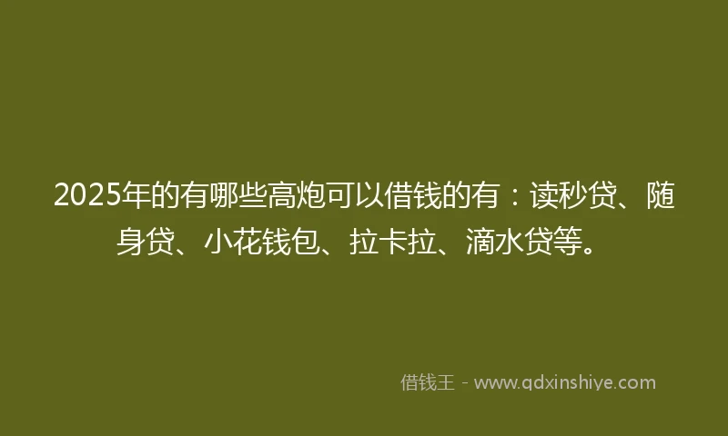 2025年的有哪些高炮可以借钱的有：读秒贷、随身贷、小花钱包、拉卡拉、滴水贷等。