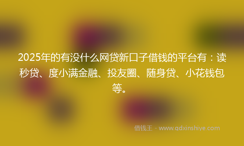 2025年的有没什么网贷新口子借钱的平台有：读秒贷、度小满金融、投友圈、随身贷、小花钱包等。