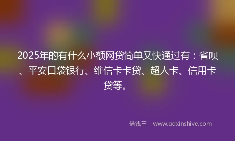 2025年的有什么小额网贷简单又快通过有：省呗、平安口袋银行、维信卡卡贷、超人卡、信用卡贷等。