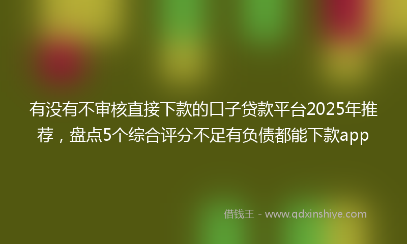 有没有不审核直接下款的口子贷款平台2025年推荐，盘点5个综合评分不足有负债都能下款app