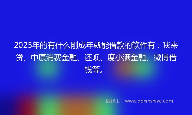2025年的有什么刚成年就能借款的软件有：我来贷、中原消费金融、还呗、度小满金融、微博借钱等。
