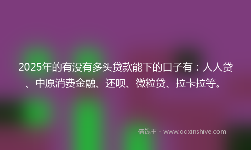 2025年的有没有多头贷款能下的口子有：人人贷、中原消费金融、还呗、微粒贷、拉卡拉等。