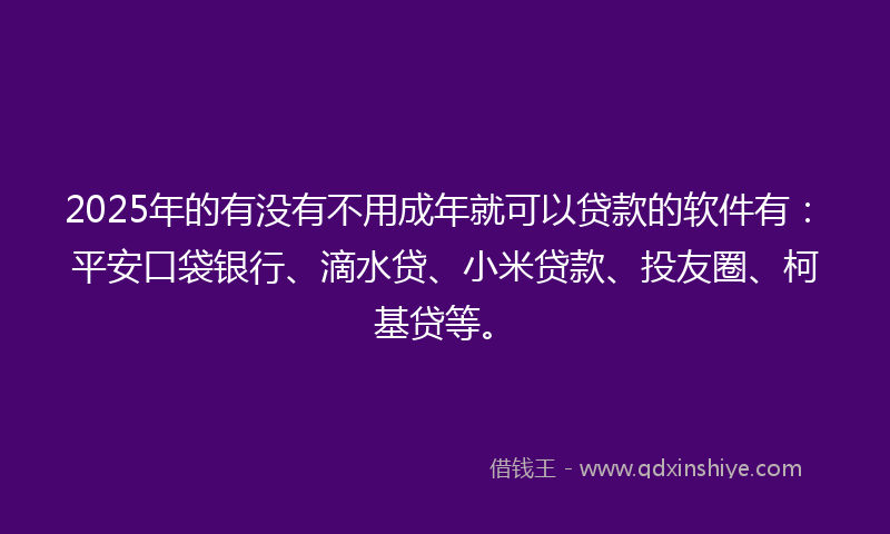 2025年的有没有不用成年就可以贷款的软件有：平安口袋银行、滴水贷、小米贷款、投友圈、柯基贷等。