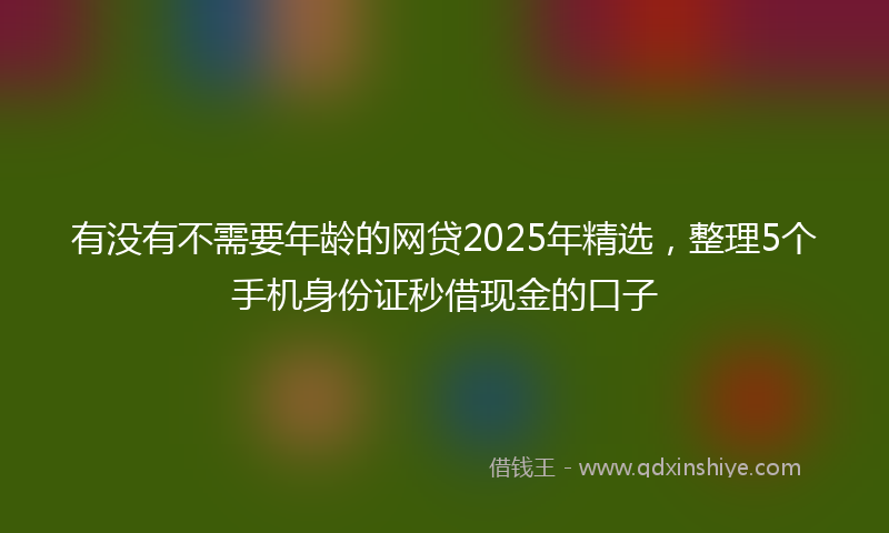 有没有不需要年龄的网贷2025年精选，整理5个手机身份证秒借现金的口子