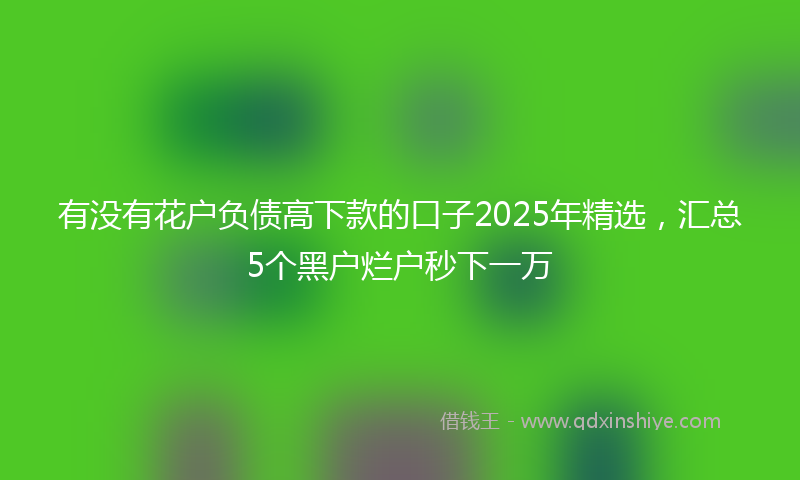 有没有花户负债高下款的口子2025年精选，汇总5个黑户烂户秒下一万
