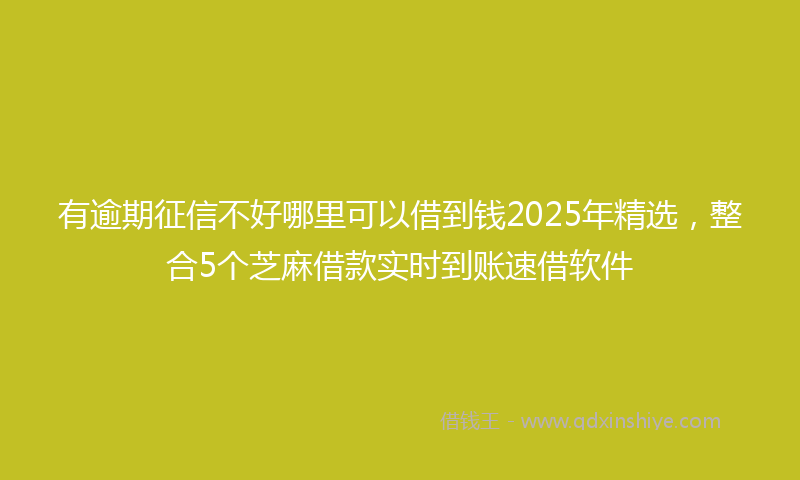 有逾期征信不好哪里可以借到钱2025年精选，整合5个芝麻借款实时到账速借软件