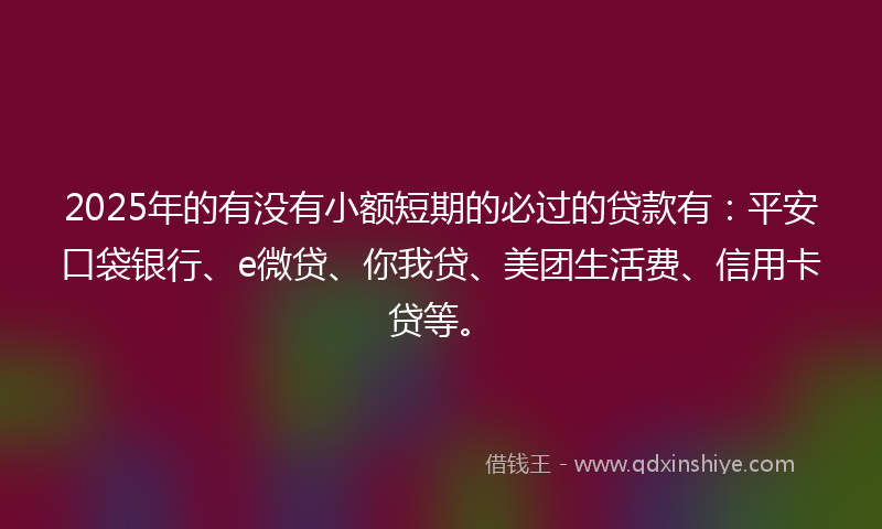 2025年的有没有小额短期的必过的贷款有：平安口袋银行、e微贷、你我贷、美团生活费、信用卡贷等。