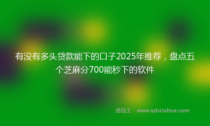 有没有多头贷款能下的口子2025年推荐，盘点五个芝麻分700能秒下的软件