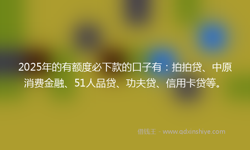 2025年的有额度必下款的口子有：拍拍贷、中原消费金融、51人品贷、功夫贷、信用卡贷等。