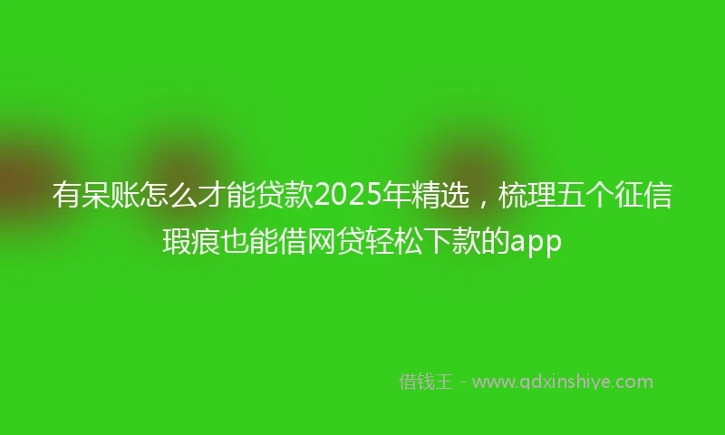 有呆账怎么才能贷款2025年精选，梳理五个征信瑕疵也能借网贷轻松下款的app
