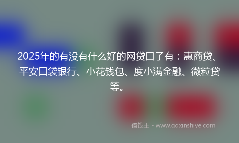 2025年的有没有什么好的网贷口子有：惠商贷、平安口袋银行、小花钱包、度小满金融、微粒贷等。