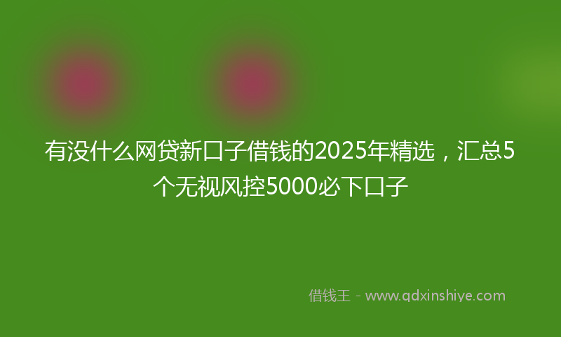 有没什么网贷新口子借钱的2025年精选，汇总5个无视风控5000必下口子