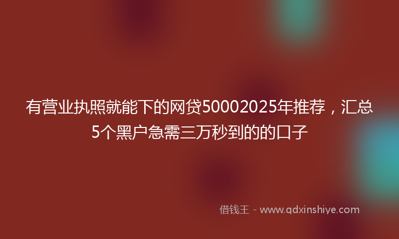 有营业执照就能下的网贷50002025年推荐，汇总5个黑户急需三万秒到的的口子