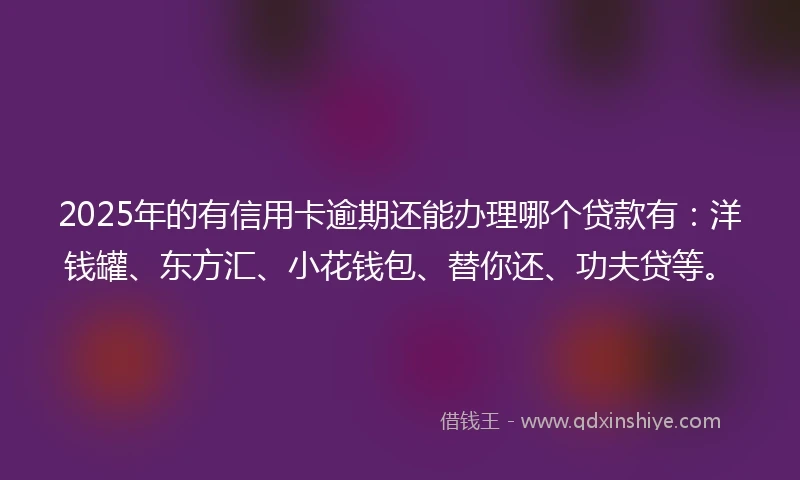 2025年的有信用卡逾期还能办理哪个贷款有：洋钱罐、东方汇、小花钱包、替你还、功夫贷等。