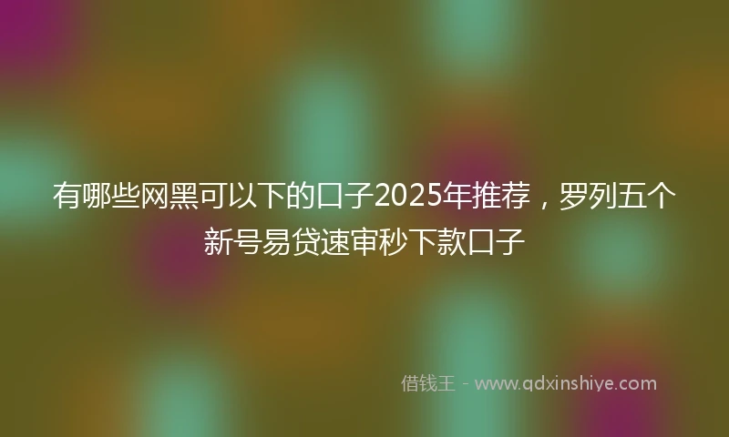 有哪些网黑可以下的口子2025年推荐,罗列五个新号易贷速审秒下款口子
