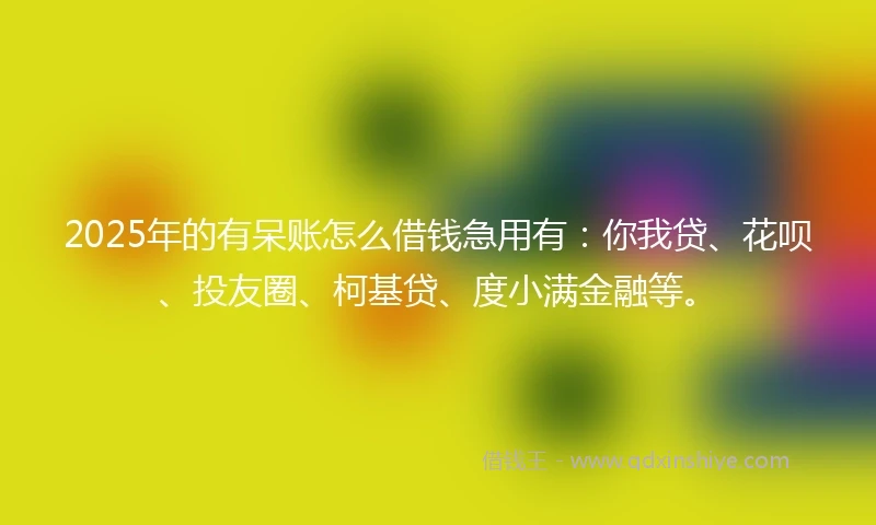 2025年的有呆账怎么借钱急用有：你我贷、花呗、投友圈、柯基贷、度小满金融等。