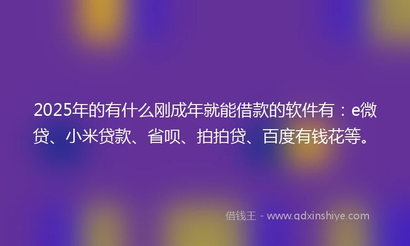 2025年的有什么刚成年就能借款的软件有：e微贷、小米贷款、省呗、拍拍贷、百度有钱花等。