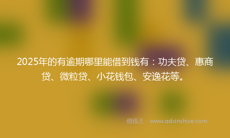 2025年的有逾期哪里能借到钱有：功夫贷、惠商贷、微粒贷、小花钱包、安逸花等。