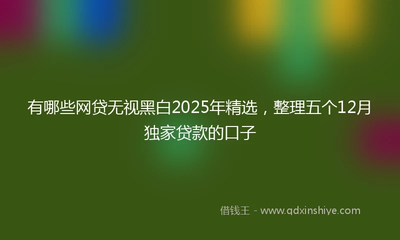 有哪些网贷无视黑白2025年精选，整理五个12月独家贷款的口子