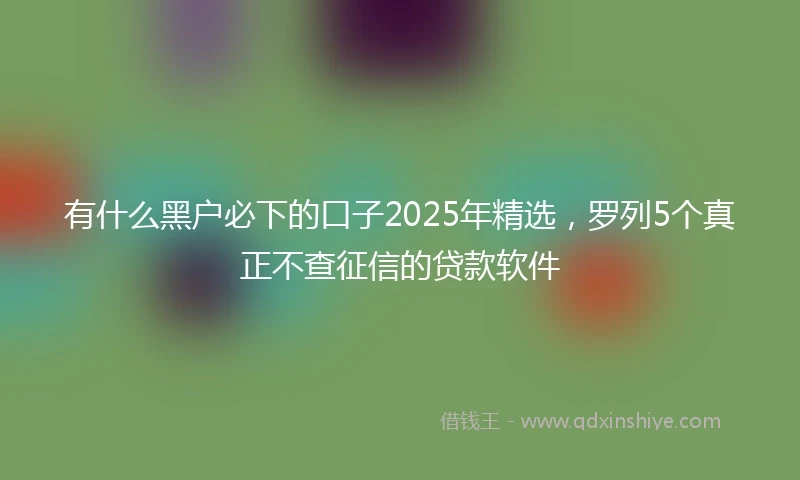 有什么黑户必下的口子2025年精选，罗列5个真正不查征信的贷款软件