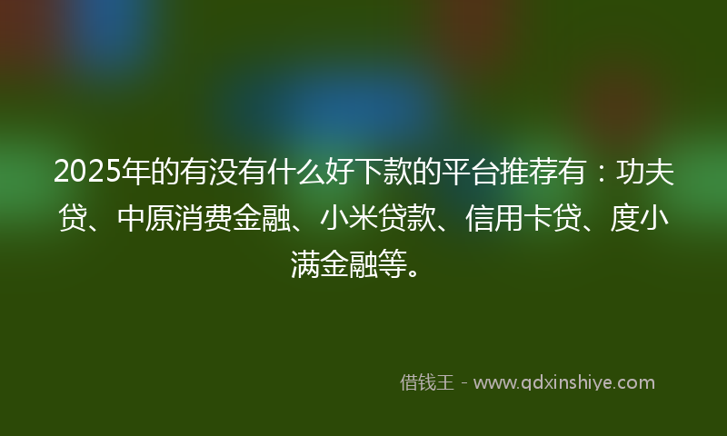 2025年的有没有什么好下款的平台推荐有：功夫贷、中原消费金融、小米贷款、信用卡贷、度小满金融等。