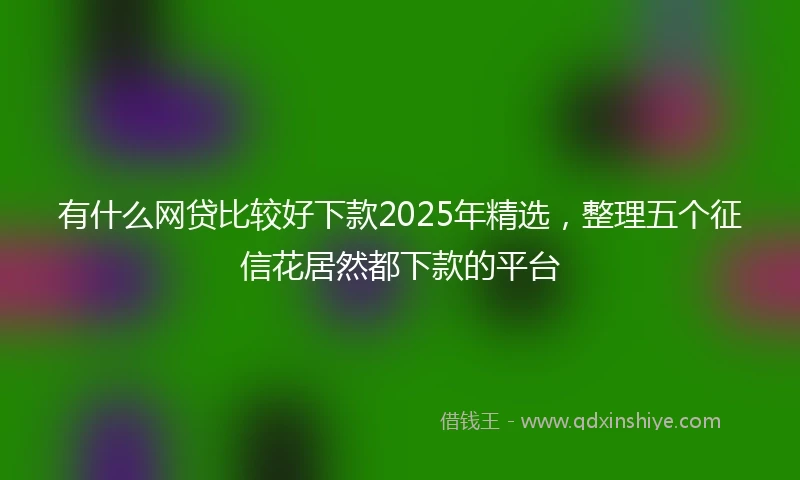 有什么网贷比较好下款2025年精选，整理五个征信花居然都下款的平台