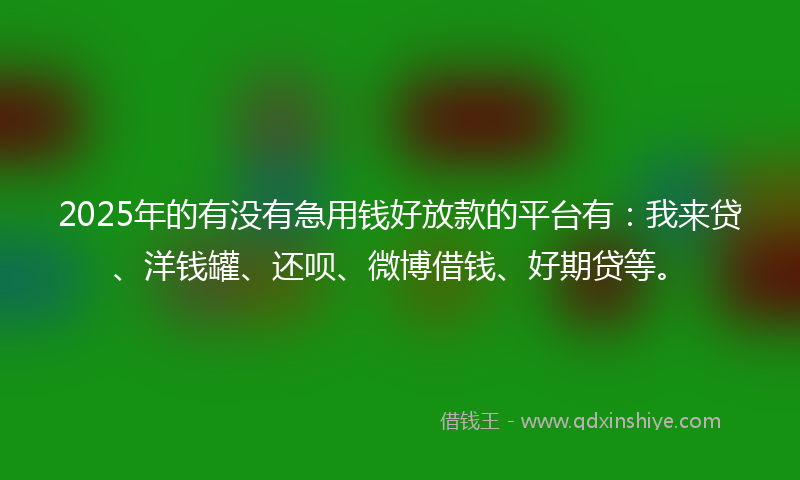 2025年的有没有急用钱好放款的平台有：我来贷、洋钱罐、还呗、微博借钱、好期贷等。