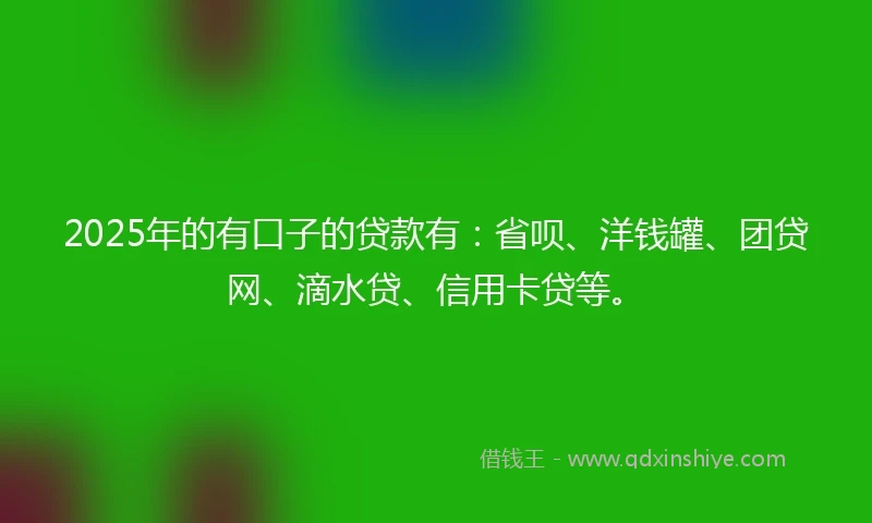 2025年的有口子的贷款有：省呗、洋钱罐、团贷网、滴水贷、信用卡贷等。