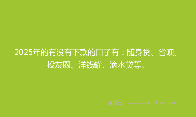 2025年的有没有下款的口子有：随身贷、省呗、投友圈、洋钱罐、滴水贷等。