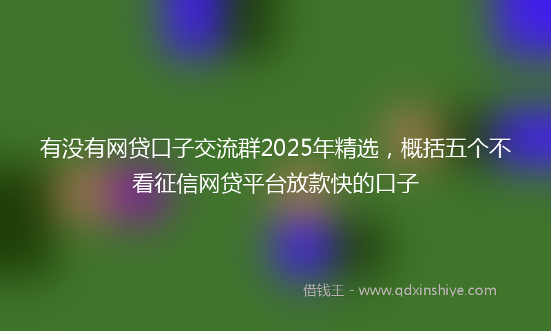 有没有网贷口子交流群2025年精选，概括五个不看征信网贷平台放款快的口子
