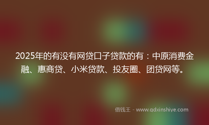 2025年的有没有网贷口子贷款的有：中原消费金融、惠商贷、小米贷款、投友圈、团贷网等。