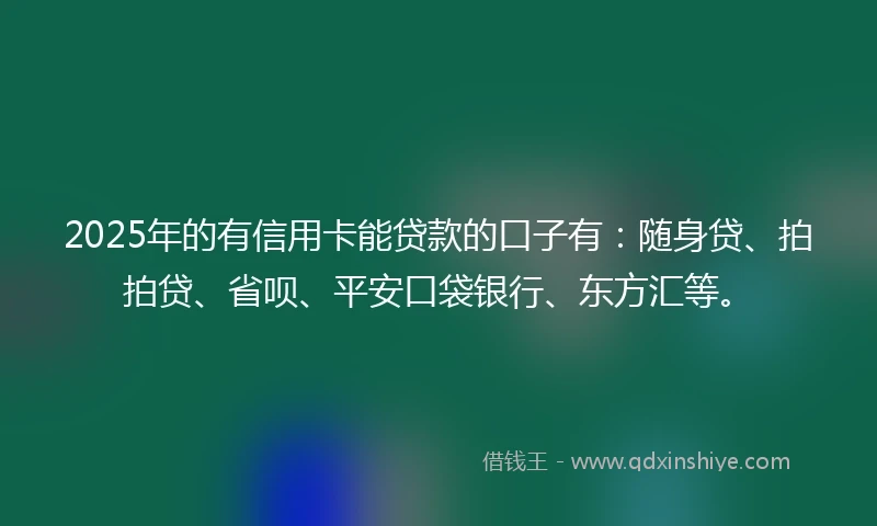 2025年的有信用卡能贷款的口子有：随身贷、拍拍贷、省呗、平安口袋银行、东方汇等。