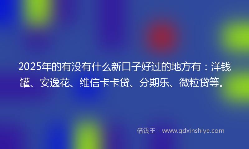 2025年的有没有什么新口子好过的地方有：洋钱罐、安逸花、维信卡卡贷、分期乐、微粒贷等。