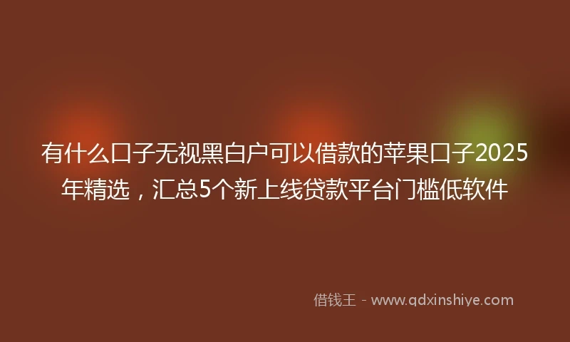 有什么口子无视黑白户可以借款的苹果口子2025年精选，汇总5个新上线贷款平台门槛低软件