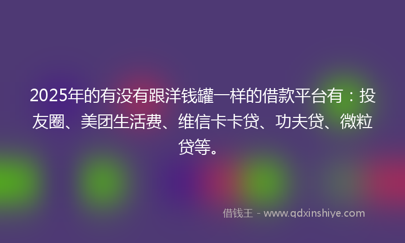 2025年的有没有跟洋钱罐一样的借款平台有：投友圈、美团生活费、维信卡卡贷、功夫贷、微粒贷等。