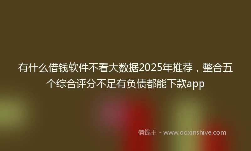 有什么借钱软件不看大数据2025年推荐，整合五个综合评分不足有负债都能下款app