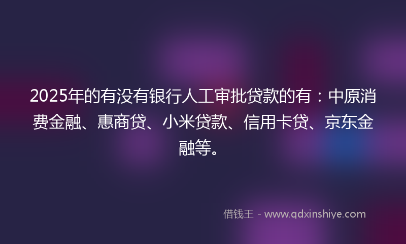 2025年的有没有银行人工审批贷款的有：中原消费金融、惠商贷、小米贷款、信用卡贷、京东金融等。