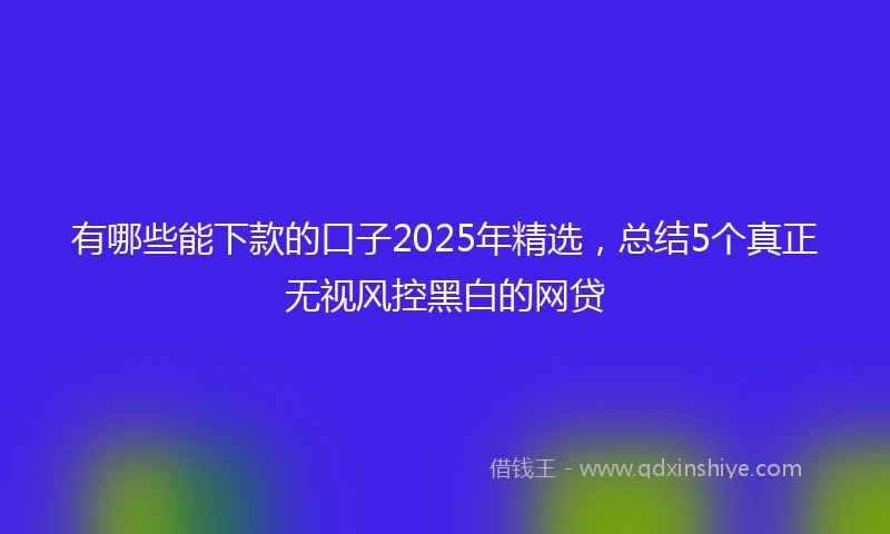 有哪些能下款的口子2025年精选，总结5个真正无视风控黑白的网贷